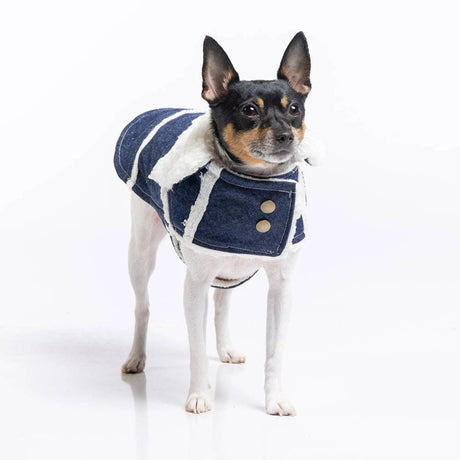 DCNY Ranch Coat | Dog Clothes | pethousekh