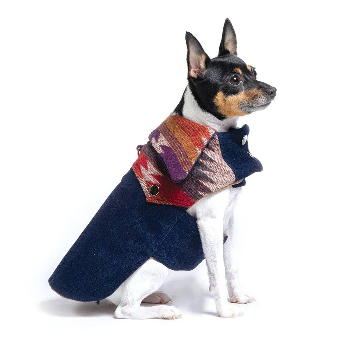 DCNY Ranch Coat | Dog Clothes | pethousekh