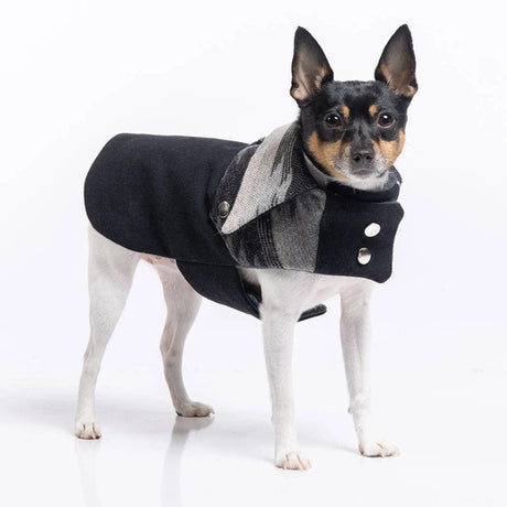 DCNY Ranch Coat | Dog Clothes | pethousekh