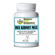 Dia Kidney Max Capsules* Adjunctive Diabetic Renal Support* Dogs And Cats | Animal Vitamins & Supplements | pethousekh