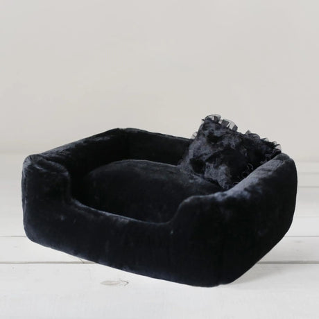 Divine Dog Bed | Dog Beds | pethousekh