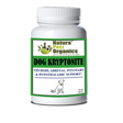 Dog And Cat Kryptonite Adrenal, Thyroid, Pituitary & Hypothalamic Support* | Animal Vitamins & Supplements | pethousekh