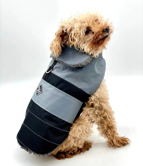 DoggieCoutureNY Water Resistant Coat | Dog Clothes | pethousekh