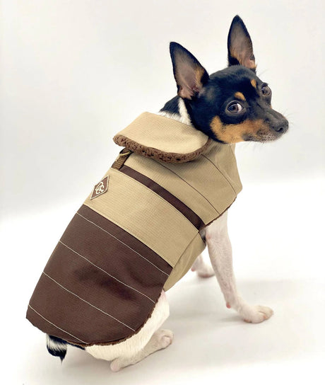 DoggieCoutureNY Water Resistant Coat | Dog Clothes | pethousekh