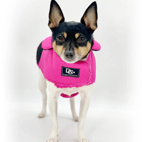 DoggieCoutureNY Water Resistant Coat | Dog Clothes | pethousekh