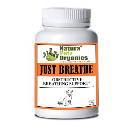 e Capsules Obstructive Breathing Support* For Dogs And Cats | Animal Vitamins & Supplements | pethousekh