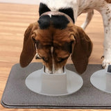 Ear - Clear - Pet Feeding Station | Feeders & waterers | pethousekh