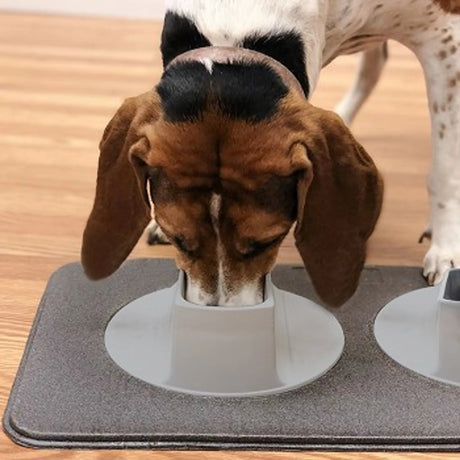 Ear - Clear - Pet Feeding Station | Feeders & waterers | pethousekh