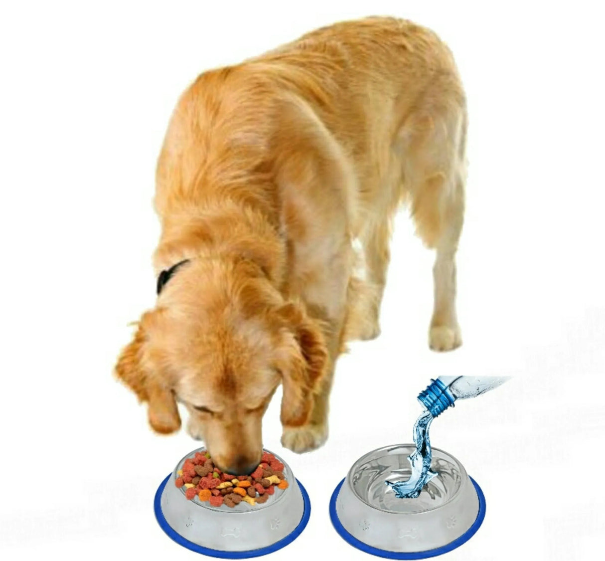 Etched Stainless Steel Dog Bowls with Blue Silicone Base | Food & Water Bowls | pethousekh