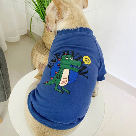 Everyday Dinosaur - Matching Pet and Owner Clothing Set | Apparel | pethousekh