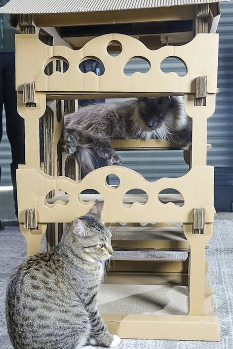 Feline Chateau Cat House | Pet Beds | pethousekh