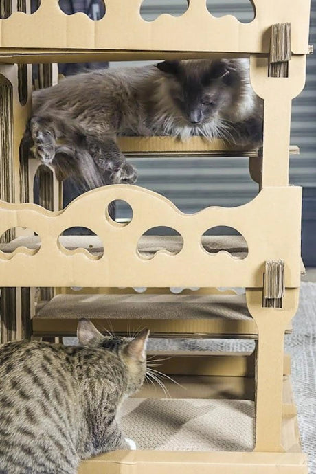 Feline Chateau Cat House | Pet Beds | pethousekh