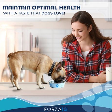 Forza10 Active Depura Dry Dog Food with Anchovy Omega | Dog Food | pethousekh