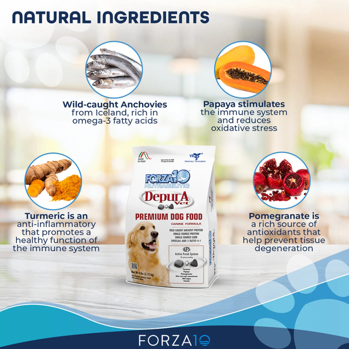 Forza10 Active Depura Dry Dog Food with Anchovy Omega | Dog Food | pethousekh