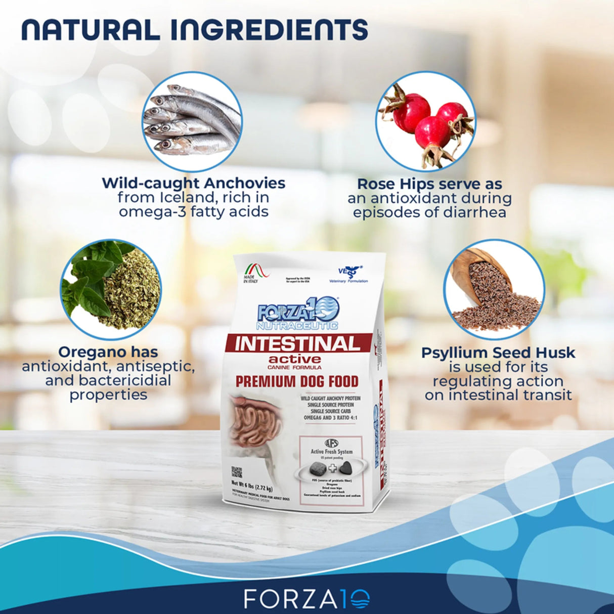 Forza10 Active Intestinal Support Diet Dry Dog Food | Dog Food | pethousekh