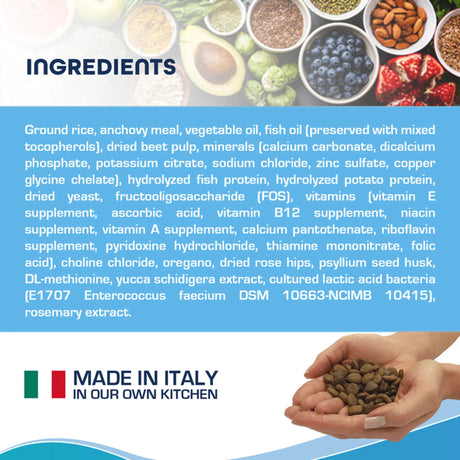 Forza10 Active Intestinal Support Diet Dry Dog Food | Dog Food | pethousekh