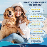 Forza10 Active Intestinal Support Diet Dry Dog Food | Dog Food | pethousekh