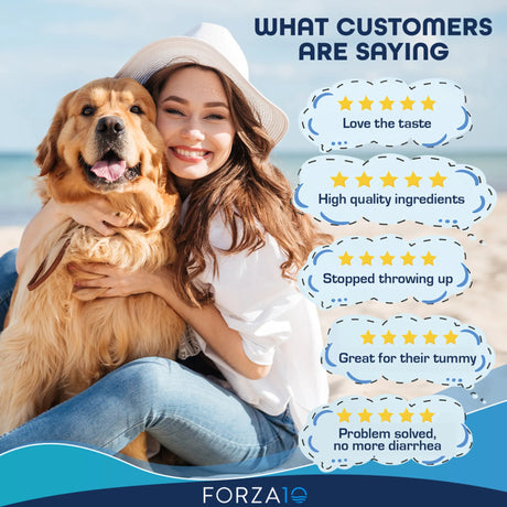 Forza10 Active Intestinal Support Diet Dry Dog Food | Dog Food | pethousekh