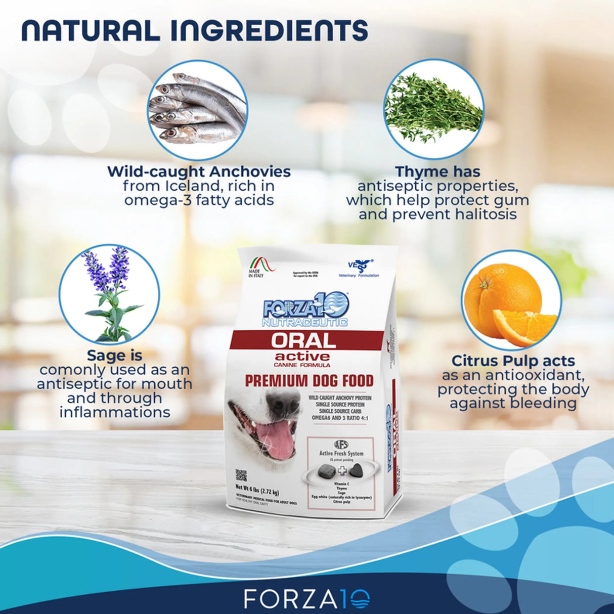 Forza10 Active Oral Support Diet Dry Dog Food | Dog Food | pethousekh