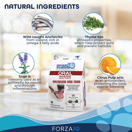 Forza10 Active Oral Support Diet Dry Dog Food | Dog Food | pethousekh