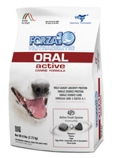 Forza10 Active Oral Support Diet Dry Dog Food | Dog Food | pethousekh
