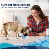 Forza10 Active Oral Support Diet Dry Dog Food | Dog Food | pethousekh