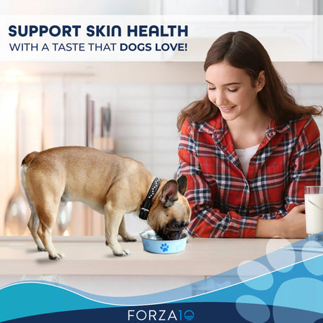 Forza10 Legend Skin Grain - Free Dry Dog Food | Dog Food | pethousekh