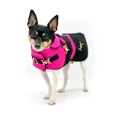 "Fun with Fuschia" - DCNY Equestrian Collection | Dog Clothes | pethousekh