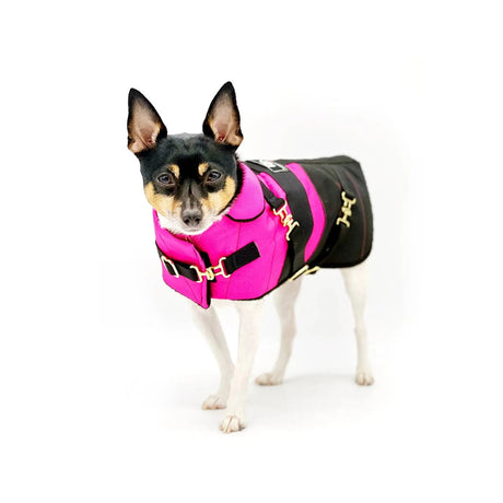 "Fun with Fuschia" - DCNY Equestrian Collection | Dog Clothes | pethousekh