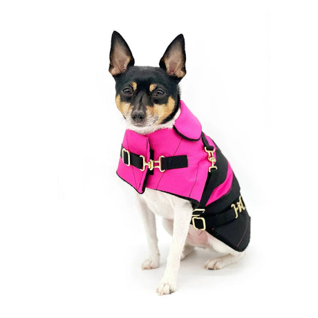 "Fun with Fuschia" - DCNY Equestrian Collection | Dog Clothes | pethousekh
