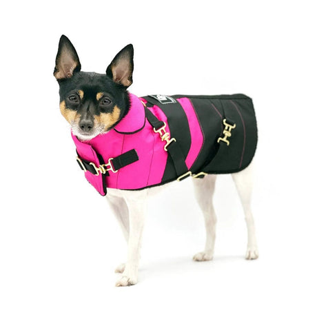 "Fun with Fuschia" - DCNY Equestrian Collection | Dog Clothes | pethousekh
