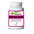 Get Well Soon - Adjunctive Lipoma + Infection Defense* | Animal Vitamins & Supplements | pethousekh