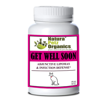 Get Well Soon - Adjunctive Lipoma + Infection Defense* | Animal Vitamins & Supplements | pethousekh
