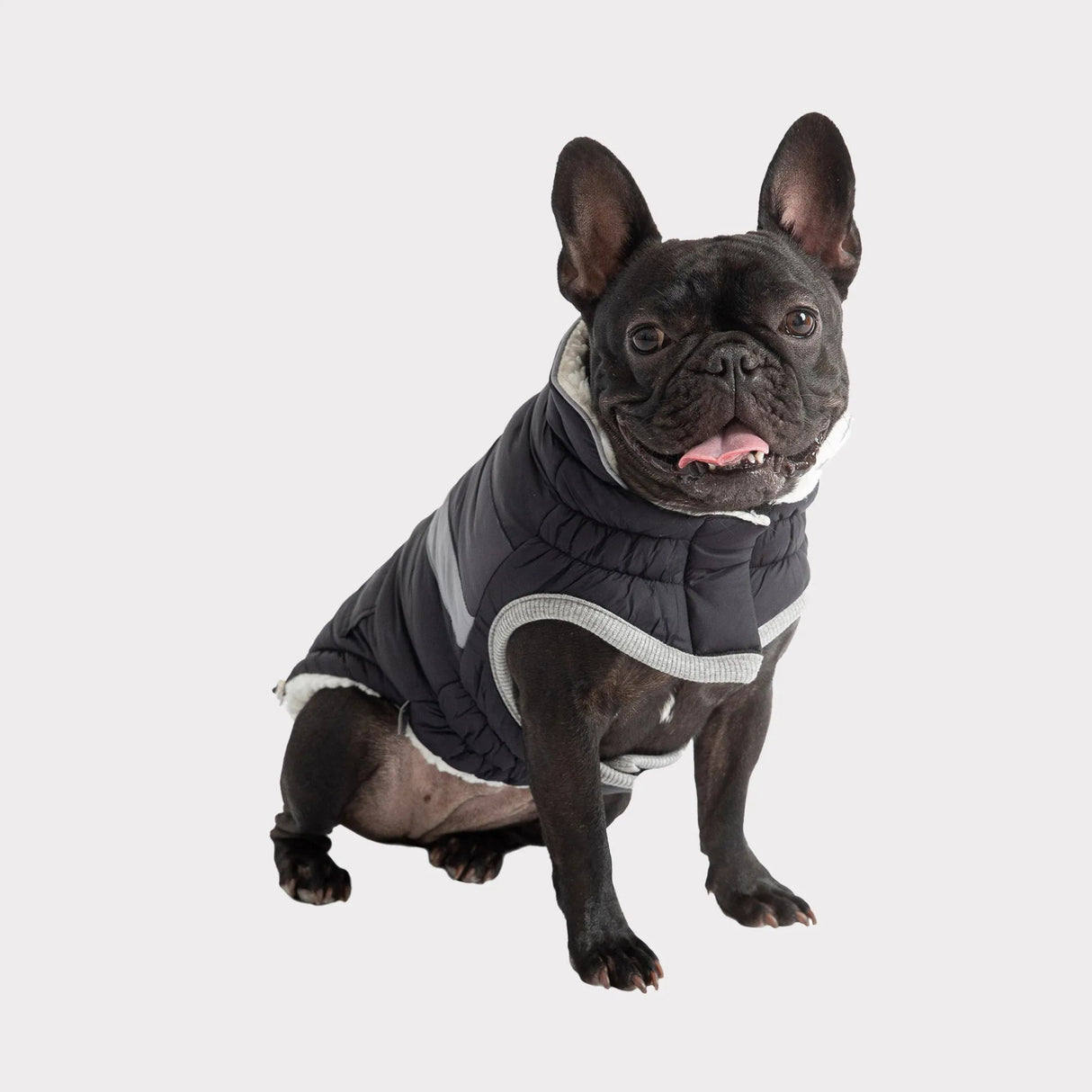 GF Pet Alpine Puffer | Apparel | pethousekh