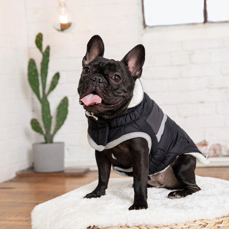 GF Pet Alpine Puffer | Apparel | pethousekh