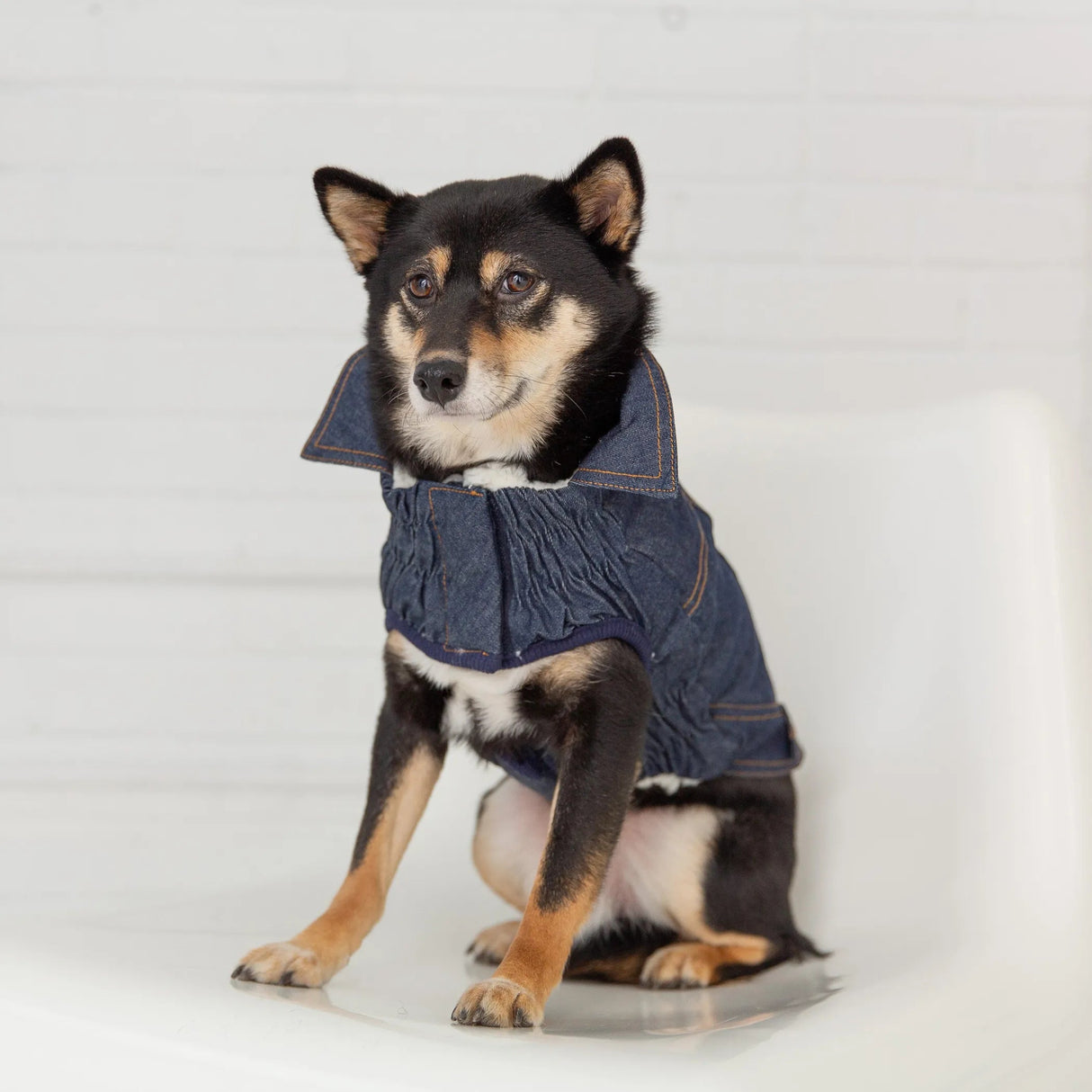 GF Pet Elasto - Fit Denim Dog Jacket | Apparel | pethousekh