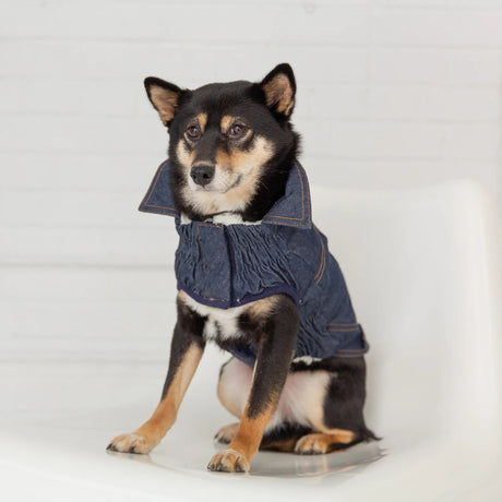 GF Pet Elasto - Fit Denim Dog Jacket | Apparel | pethousekh