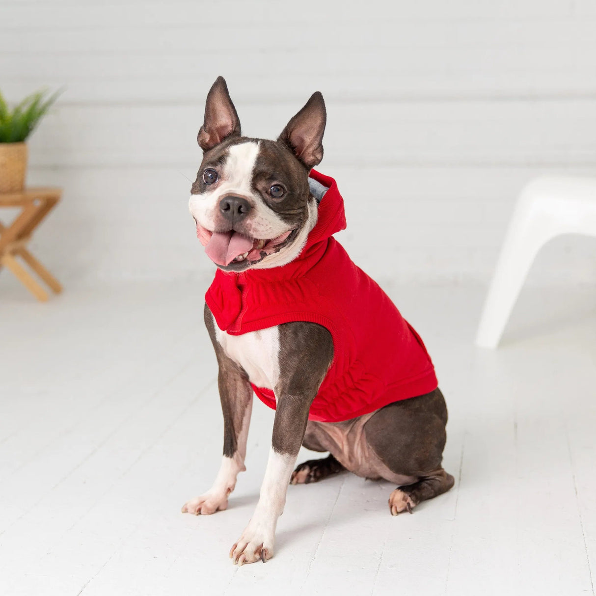 GF Pet Elasto - Fit Urban Dog Hoodie | Apparel | pethousekh