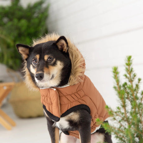 GF Pet ElastoFit Urban Dog Parka with Adjustable Fit | Apparel | pethousekh