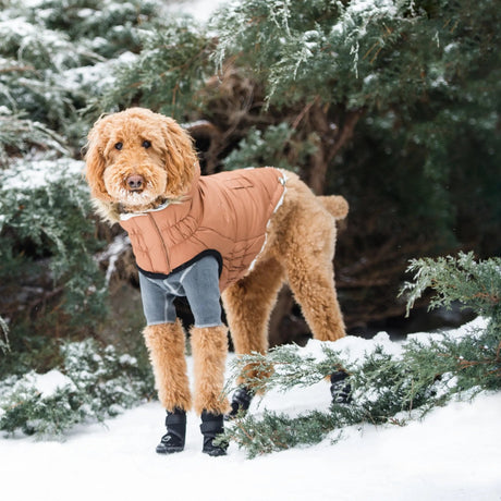 GF Pet ElastoFit Urban Dog Parka with Adjustable Fit | Apparel | pethousekh