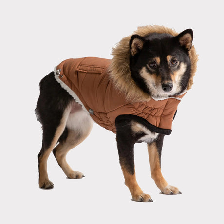GF Pet ElastoFit Urban Dog Parka with Adjustable Fit | Apparel | pethousekh