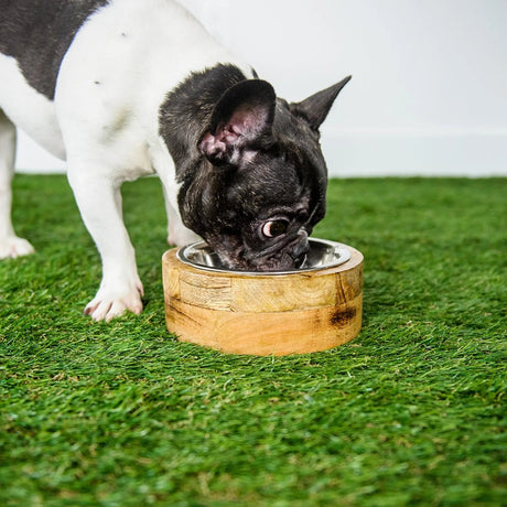 GF Pet Mango Wood Bowl Single | Food & Water Bowls | pethousekh