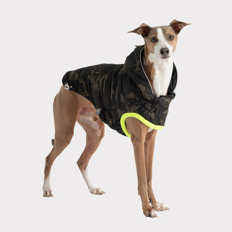 GF Pet Recycled Parka | Apparel | pethousekh