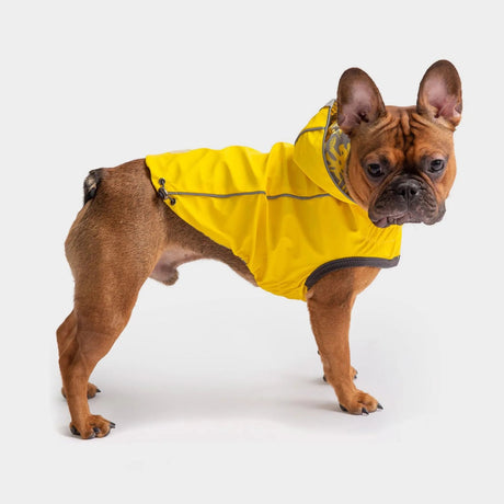 GF Pet Reversible ElastoFit Raincoat, Waterproof and Reflective | Apparel | pethousekh