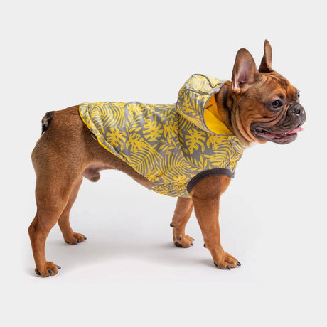GF Pet Reversible ElastoFit Raincoat, Waterproof and Reflective | Apparel | pethousekh