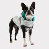 GF Pet Reversible Raincoat | Apparel | pethousekh