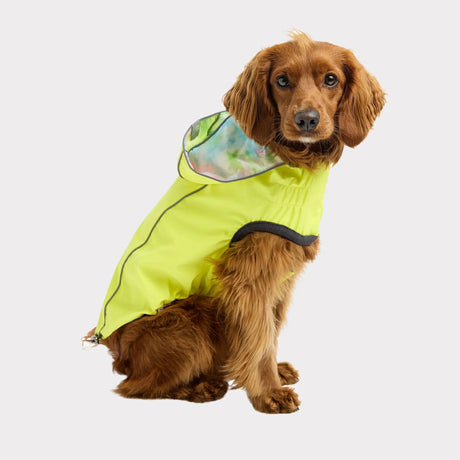 GF Pet Reversible Raincoat | Apparel | pethousekh