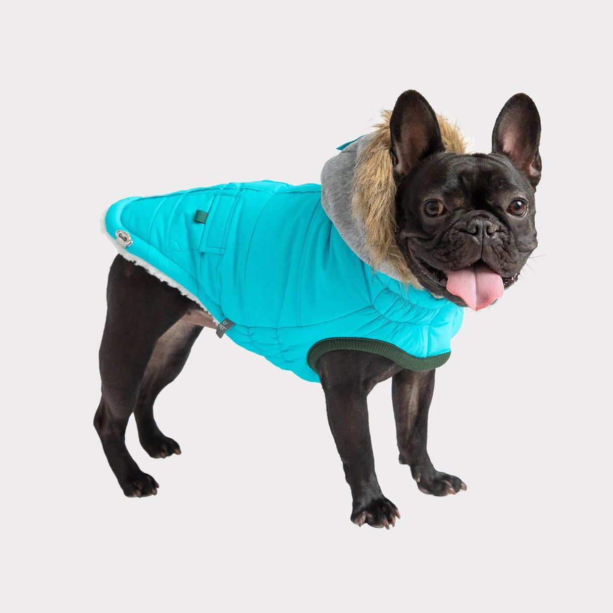 GF Pet Winter Sailor Parka | Apparel | pethousekh