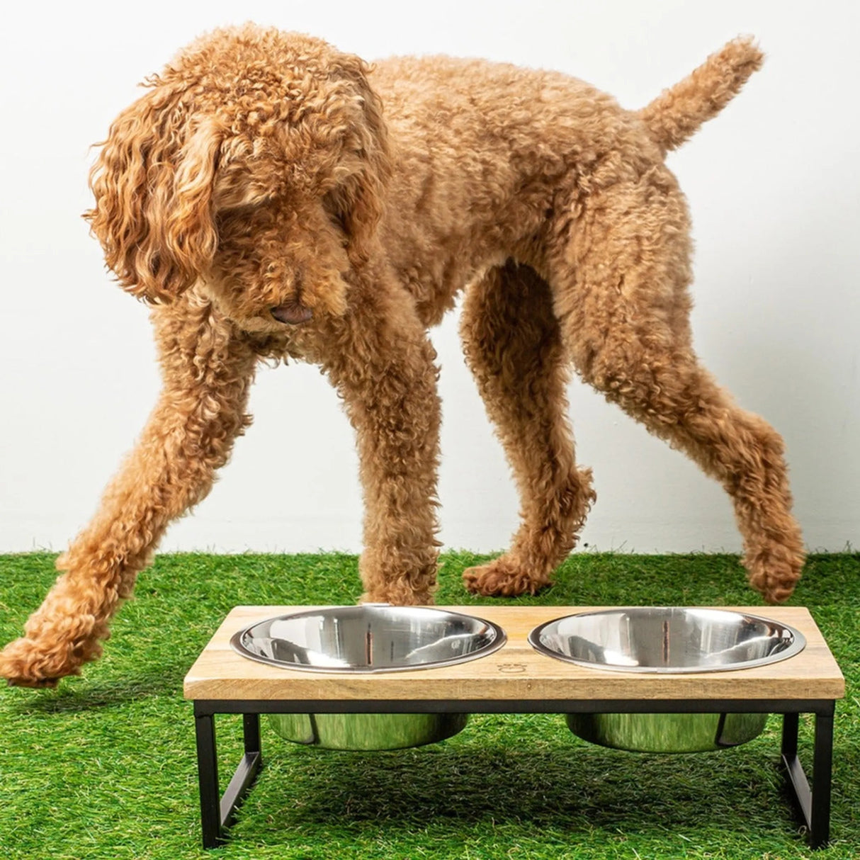 GF Pet Wood & Metal Elevated Feeder | Food & Water Bowls | pethousekh