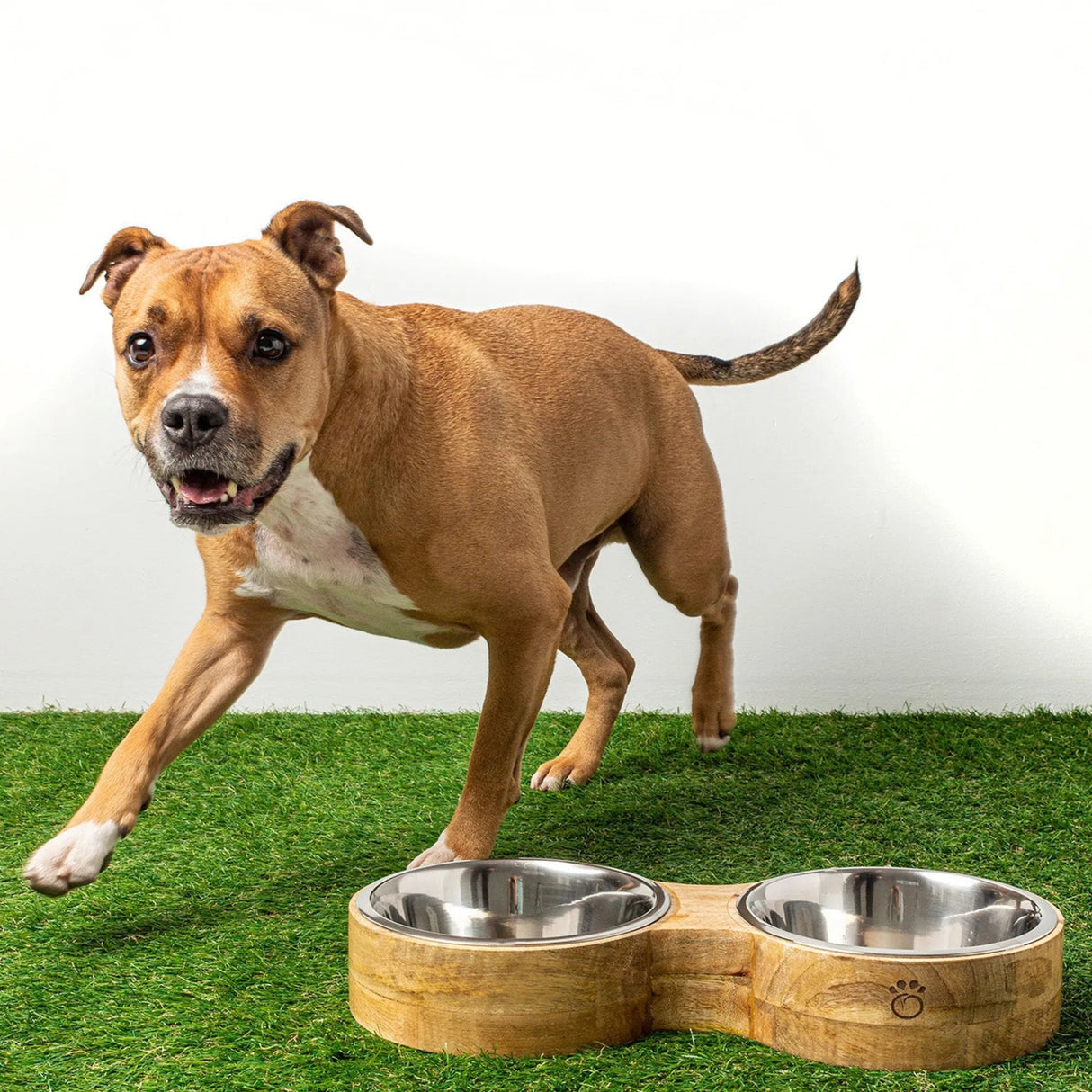 GF Pet Wood & Metal Feeder Double Diner | Food & Water Bowls | pethousekh